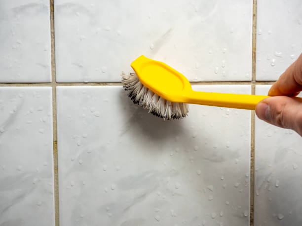 Best Fast Mold Removal  in Decatur, MS