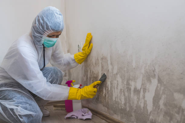 Best Crawl Space Mold Removal  in Decatur, MS