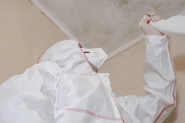 Best Residential Mold Removal  in Decatur, MS