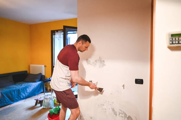Best Home Mold Removal  in Decatur, MS